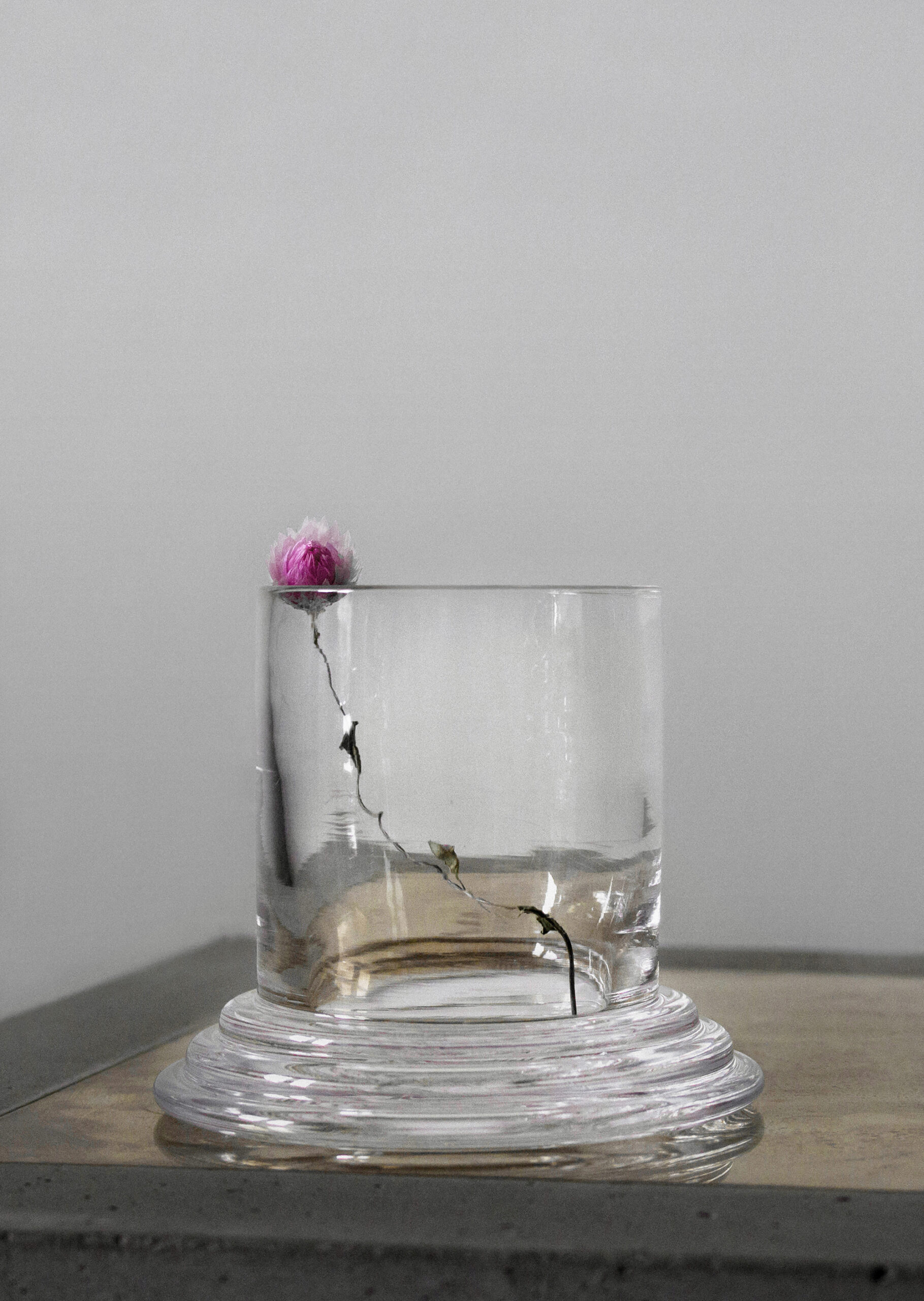 Amal Glass